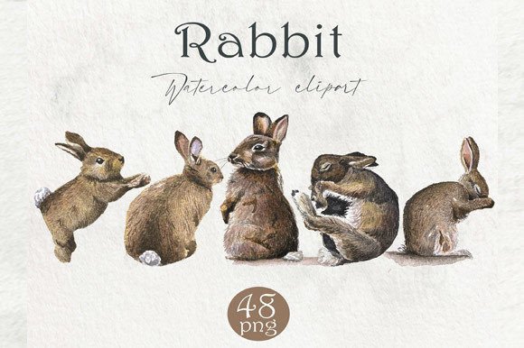 Download Watercolor Rabbit, Forest Animals PNG - Forest animals png Collection